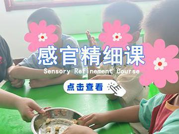 感官精细课